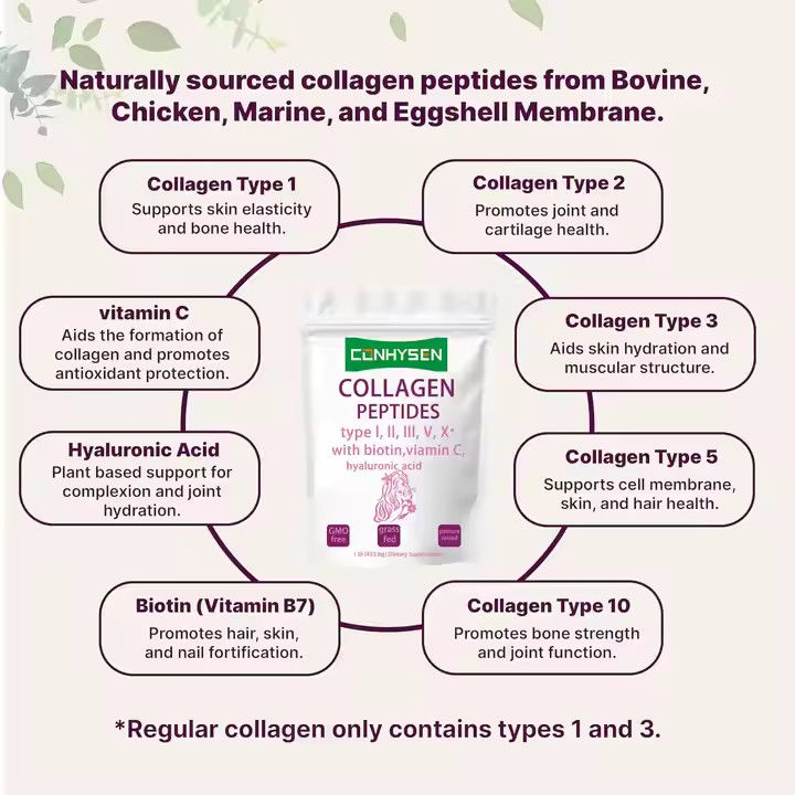 Supplements OEM Collagen Peptides Powder for Skin Hair Joint Health Supports Anti Aging