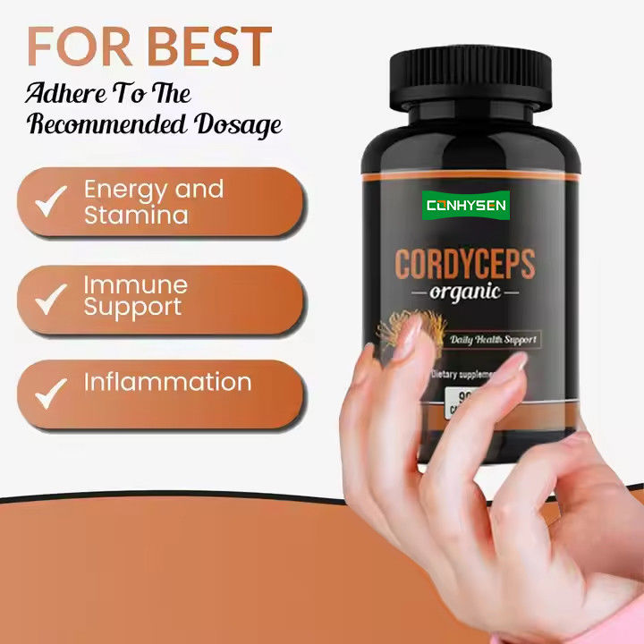 OEM ODM Organic Cordyceps Capsules Promotes Brain Function Herbal Supplement Capsules