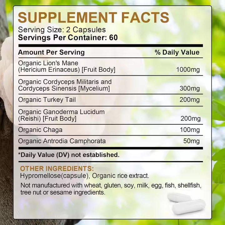 OEM Organic Lion's Mane Capsules with Turkey Tail Supplement Support Memory Brain Health