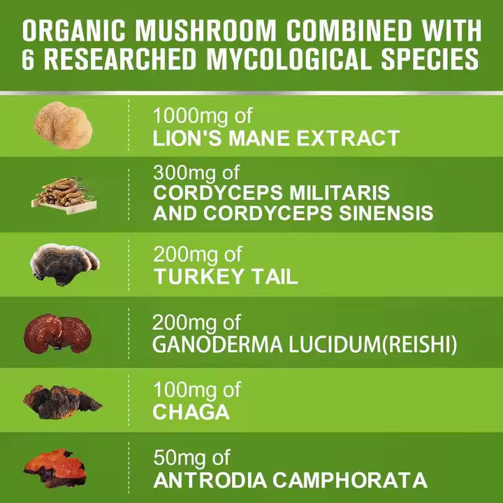 OEM Organic Lion's Mane Capsules with Turkey Tail Supplement Support Memory Brain Health