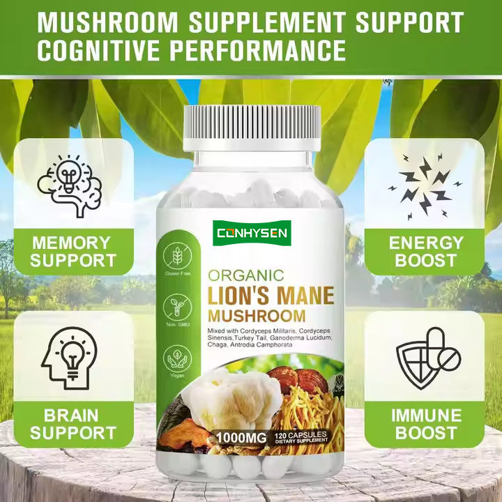 OEM Organic Lion's Mane Capsules with Turkey Tail Supplement Support Memory Brain Health