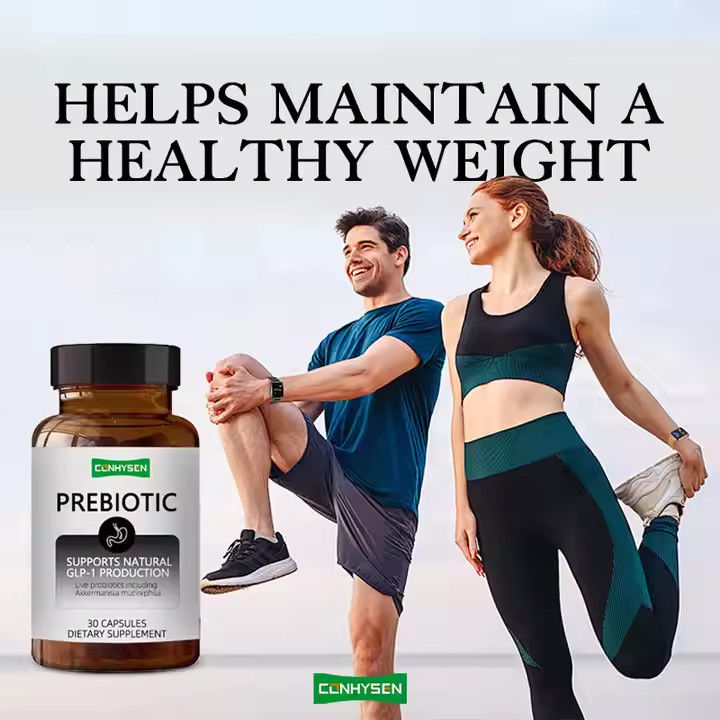 Prebiotic And Probiotic Capsules Blend Chicory Inulin Supplement Maintain Healthy Weight