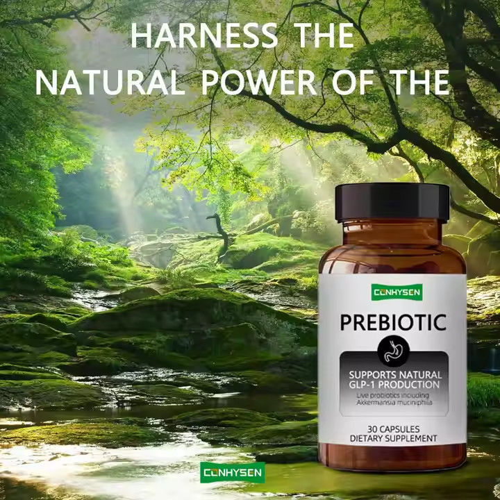 Prebiotic And Probiotic Capsules Blend Chicory Inulin Supplement Maintain Healthy Weight