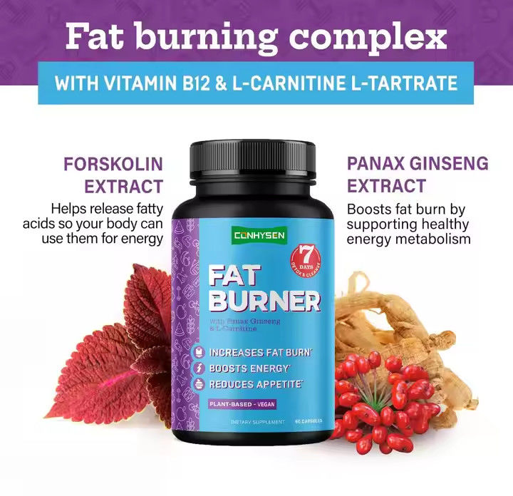 OEM Logo Fat Burner Capsules With Vitamin B12 L-Carnitine L-Tartrate Reduces Appetite