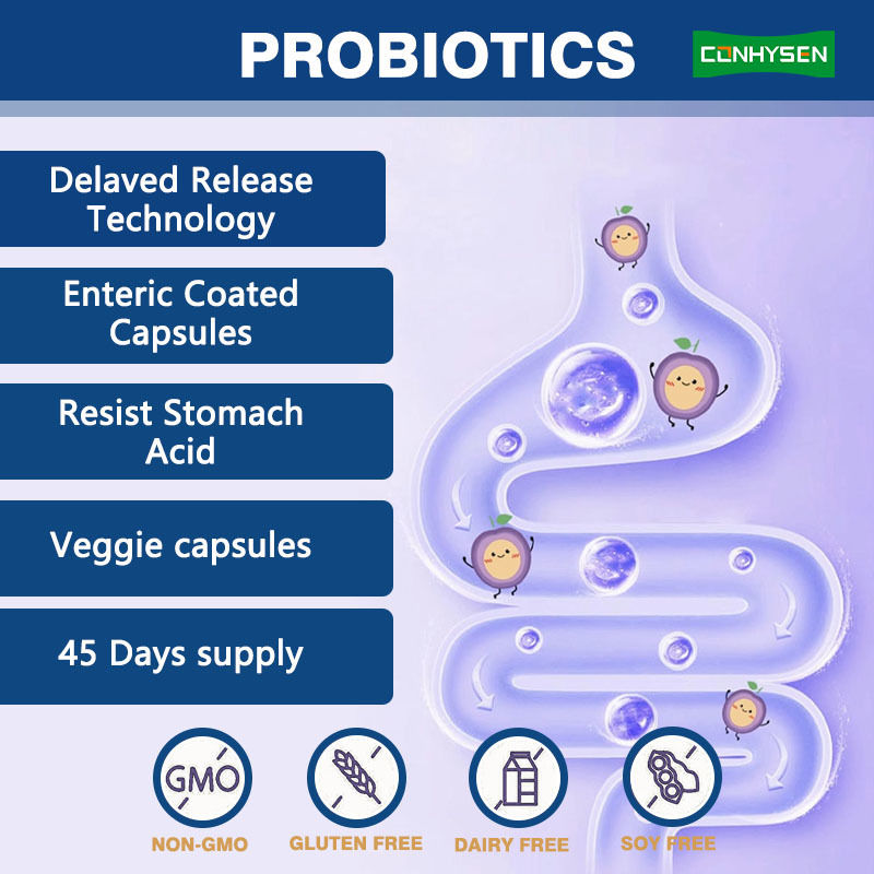 Factory Supply 5-In-1 Prebiotic Capsules Improves Digestives Health Premium Probiotics Complex