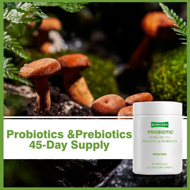 Private Labels Probiotics Capsules Supports Better Digestion with Fermented Organic Botanical Blend