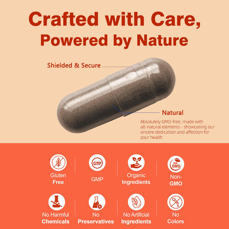 Non GMO Saw Palmetto Capsules 500mg Complex Support Hormonal Balance Hair Health