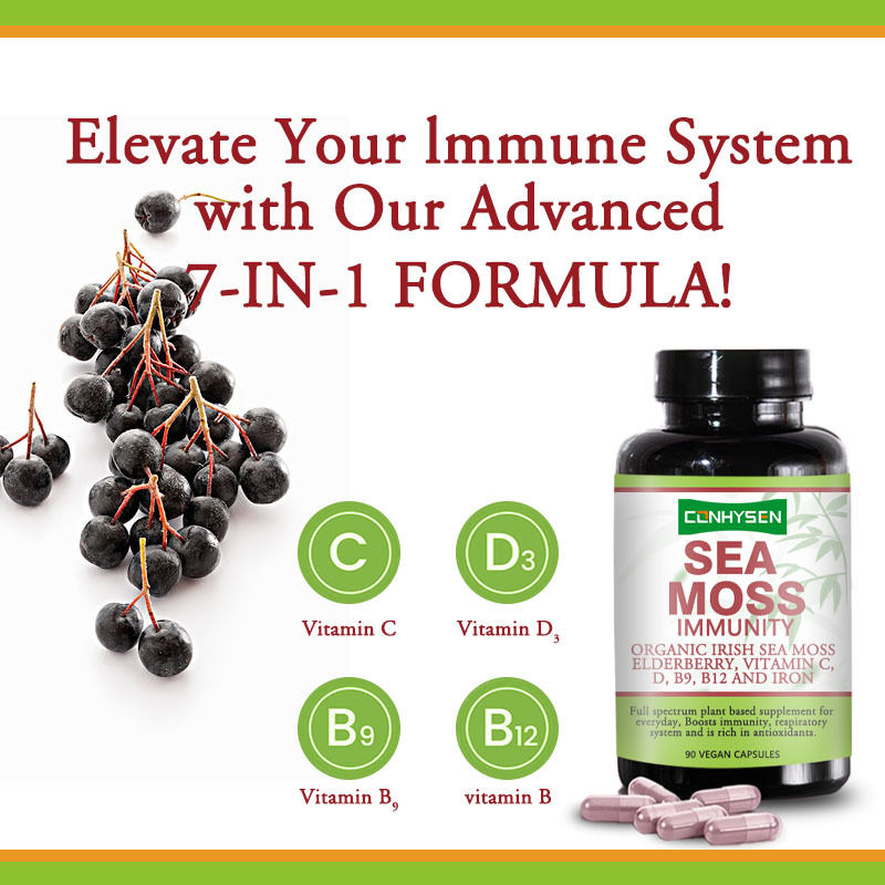 Factory Customization 7-In-1 Formula Strengthen Respiratory System Sea Moss Capsules 90 Capsules