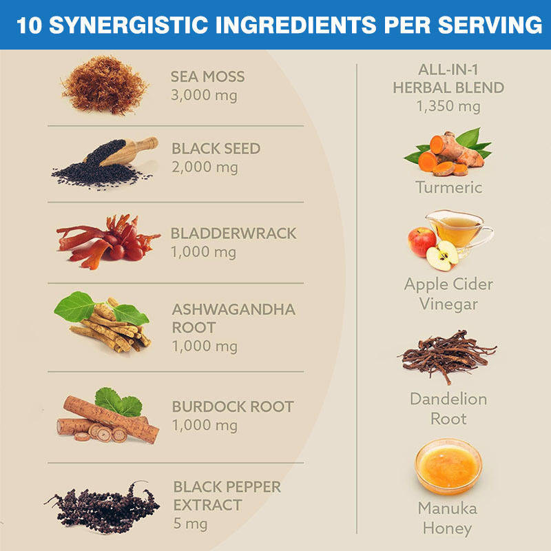 Custom Label 10-In-1 Blend Promotes Immune System Sea Moss Capsules Ashwagandha Supplement