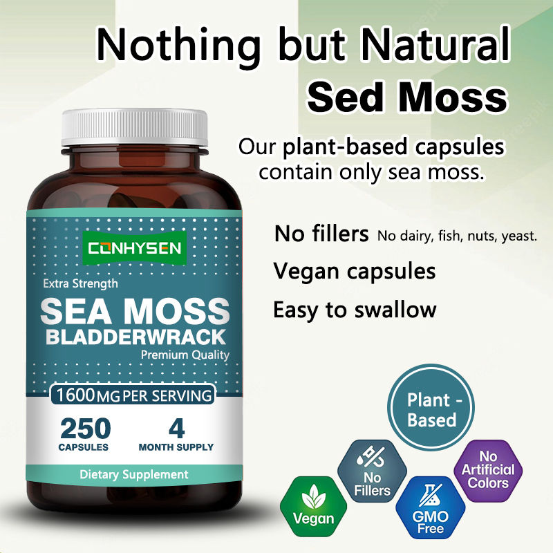 Organic Irish Moss Capsules For Promotes Gut Health Health Care Products