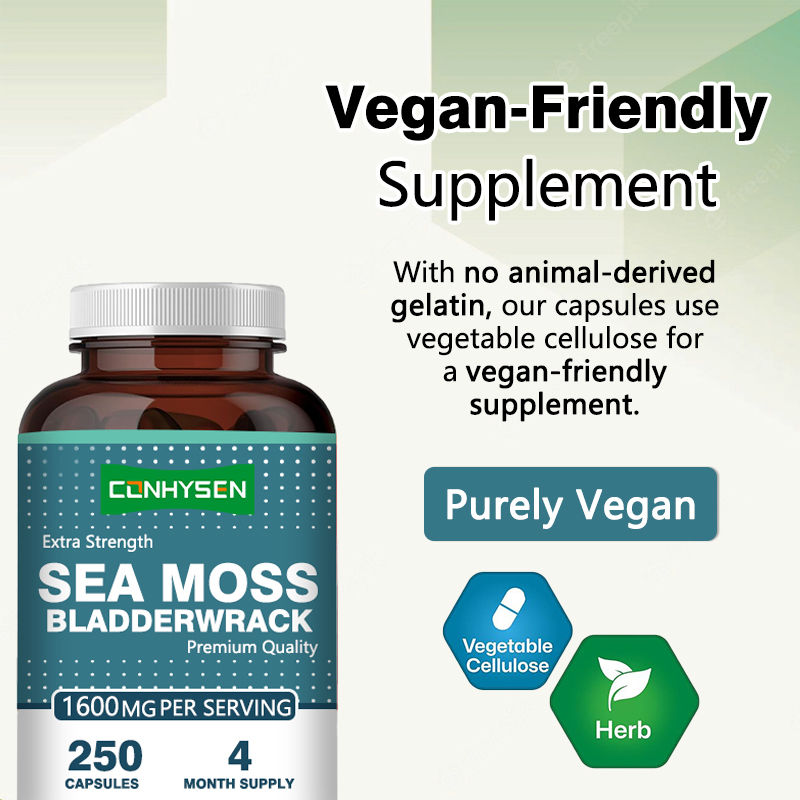 Organic Irish Moss Capsules For Promotes Gut Health Health Care Products