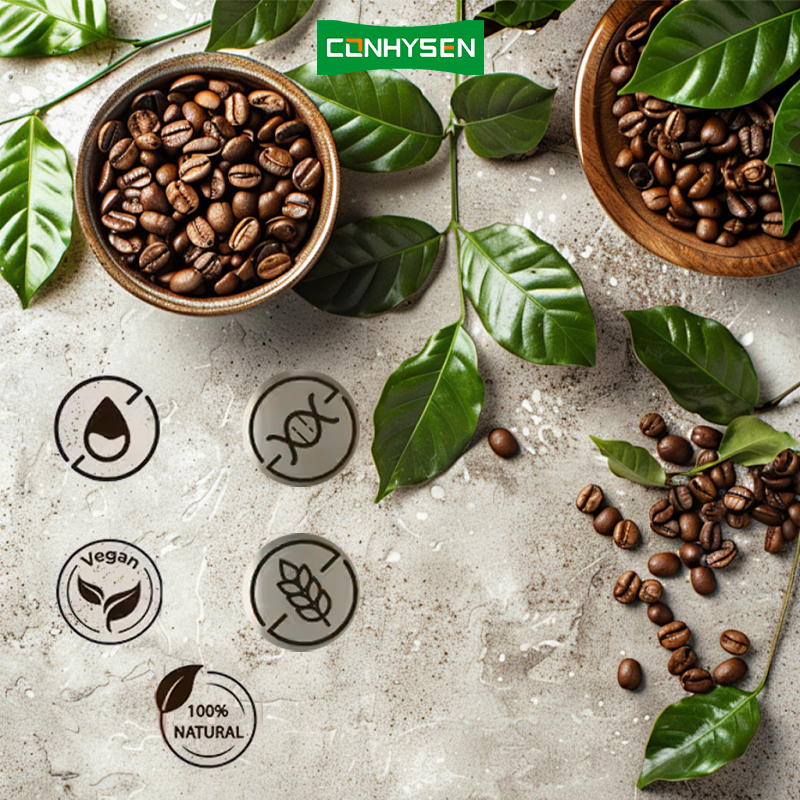 Lower Price Refreshment Drink Enhances Energy Mushroom Coffee with Cordyceps Reishi Gluten Free
