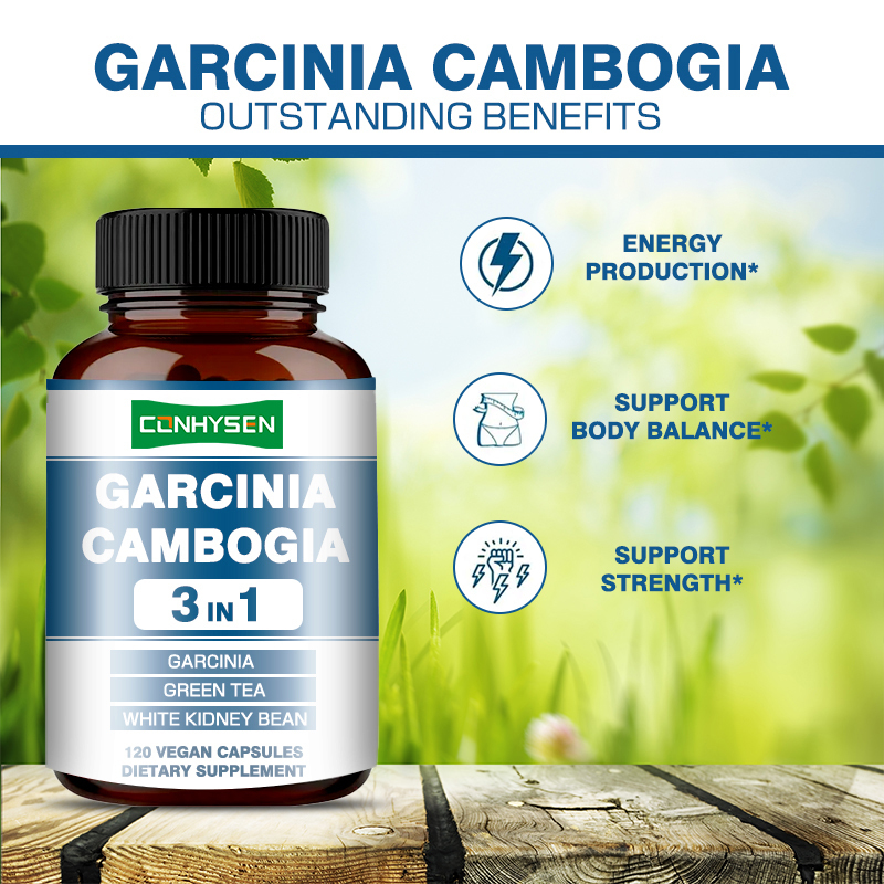 Premium Custom Garcinia Cambogia Capsules White Kidney Bean Supplement for Energy Production