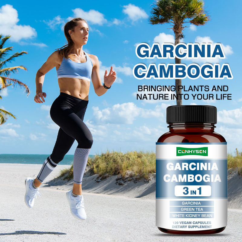 Premium Custom Garcinia Cambogia Capsules White Kidney Bean Supplement for Energy Production