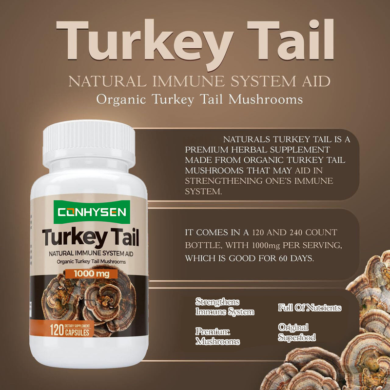 Premium Custom Turkey Tail Capsules Boosts Brain Health and Memory Natural Immune System Aid