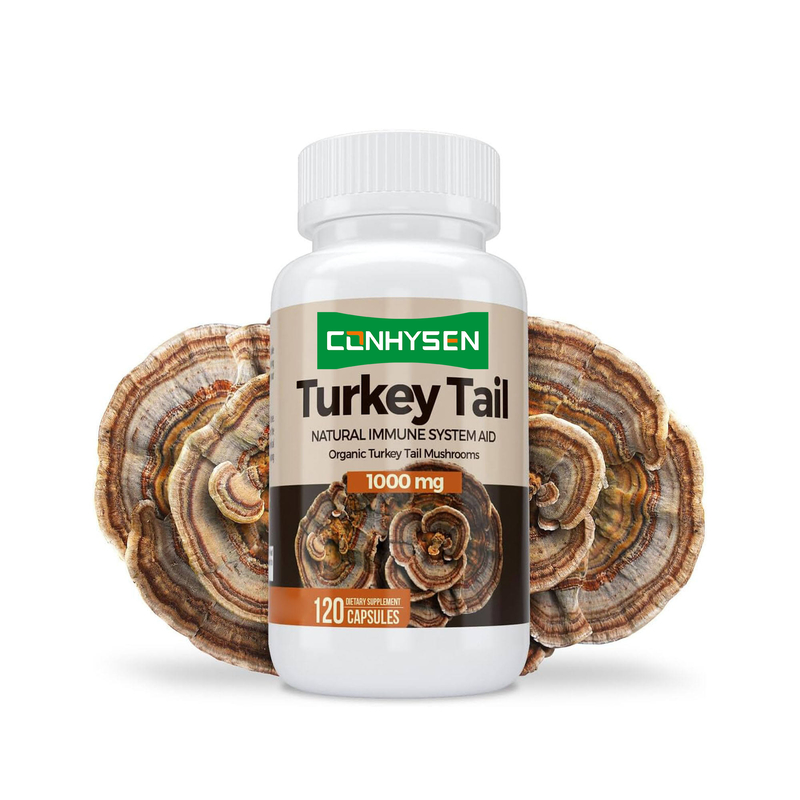Premium Custom Turkey Tail Capsules Boosts Brain Health and Memory Natural Immune System Aid