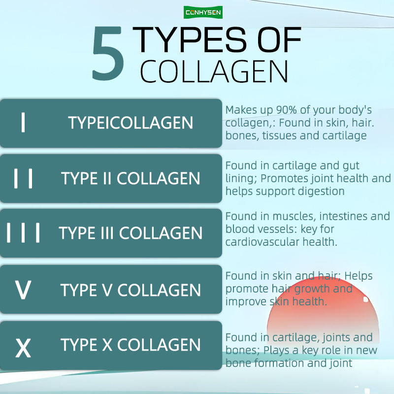 Factory Supply Multi Collagen Complex Capsules Dietary Supplement for Strengthens Hair & Nails