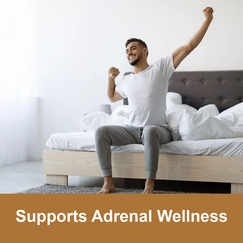 Private Label Maca Root Gummies High Quality Men Energy Enhance Supplement 1800mg Maca Extract Gummies for Women & Men