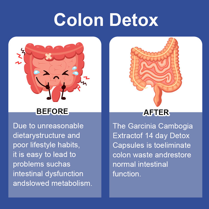 Private Label 14 Day Slim Capsule Supports Digestive Health and Weight Loss Dietary Supplement  Detox Capsules