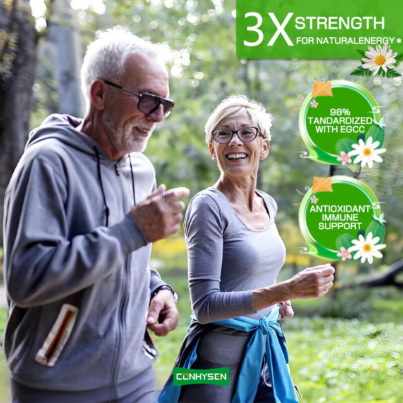 Private Label Green Tea Capsules Rich EGCG Supplement Antioxidant Immune Support Weight Loss Slimming Fat Burner Pill