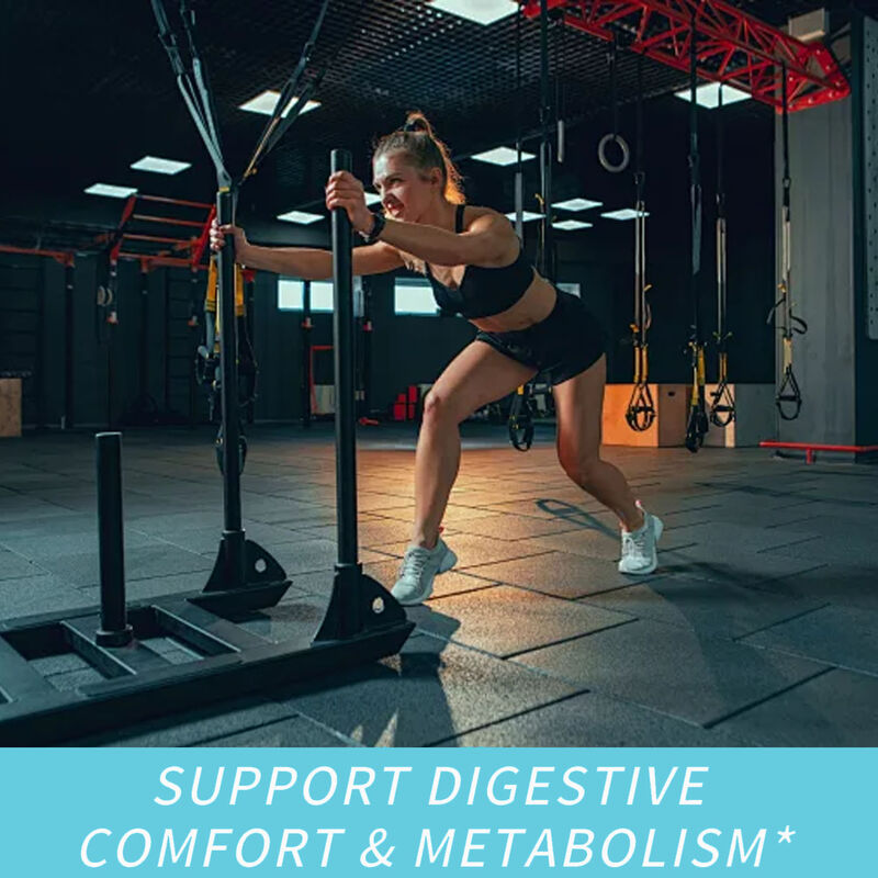 Private Label Dietary Fiber Supplements Fat Burner Capsules Beauty Products Supplement Appetite Suppressant & Energy Booster