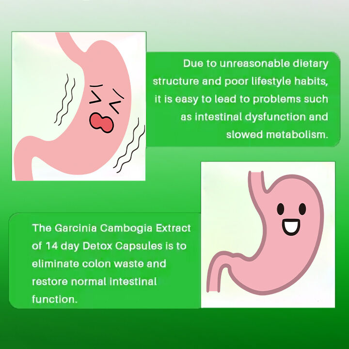 OEM ODM 14-Day Slimming Capsule Fast Acting Appetite Suppressant and Fat Burner Pills for Adults Dietary Fiber