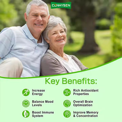 Ashwagandha Ginkgo Biloba Gummies Support Overall Brain Optimization Herbal Supplement