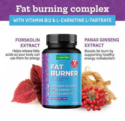 OEM Logo Fat Burner Capsules With Vitamin B12 L-Carnitine L-Tartrate Reduces Appetite