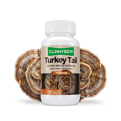 Premium Custom Turkey Tail Capsules Boosts Brain Health and Memory Natural Immune System Aid